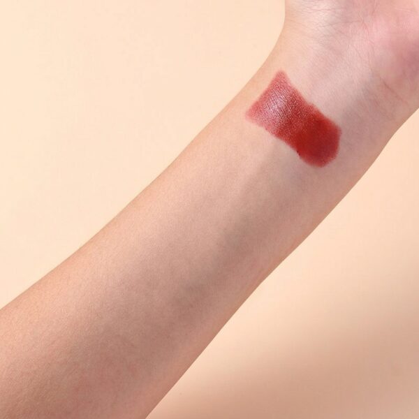 flbpdonlips.storecp6 (2) MANSLY Mist Soft Velvet Lipstick – 528 Romantic Red Rose