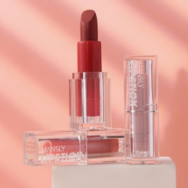 flbpdonlips.storecp6 (3) MANSLY Mist Soft Velvet Lipstick – 528 Romantic Red Rose